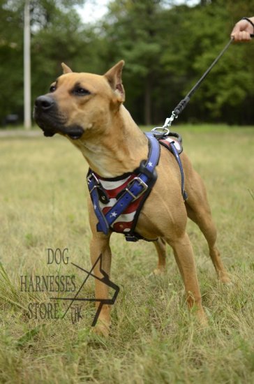 Leather Dog Harness for Pitbull with Hand Painted USA Flag