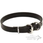 Leather Dog Collar for Walks, Perfect for Everyday Use