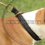Amstaff Dog Collar of Braided Leather for Control and Obedience