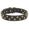 Couture Dog Collar with Brass Pyramids, Fashionable Accessory