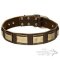 Gorgeous Leather Dog Collar with Bronze-Like Wide Brass Plates
