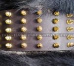 Extra Wide Leather Dog Collar with Spikes for Swiss Mountain Dog