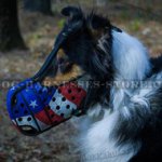Collie Muzzle USA Patriotic Style for Comfy Walking and Training