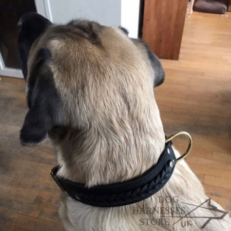 Thick Dog Collar with Braided Decorations and Brass Hardware