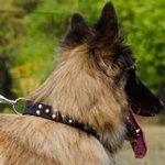 Tervuren Collar of Fashionable Design, Leather and Nickel Cones