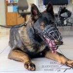Basket Dog Muzzle Covered by Black Rubber, UK_5