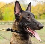 Rolled Leather Dog Collar for Belgian Malinois, Silent Control