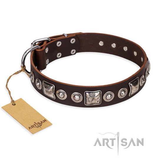 Brown Leather Dog Collar FDT Artisan "Pierian Spring"