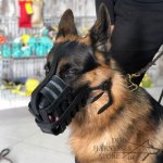 Leather Dog Muzzle for Every Breed, Best for Everyday Use_4