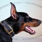 Padded Leather Dog Collar with Brass Hardware and Stitching