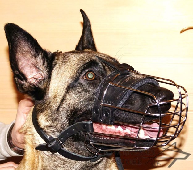 best muzzle for belgian malinois