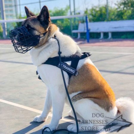 Basket Dog Muzzle Covered by Black Rubber, UK