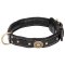 Padded Luxury Dog Collar with Braids and Decorative Plates