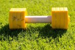 Dog Training Dumbbell for Large and Strong Breeds, 2 Kg_1
