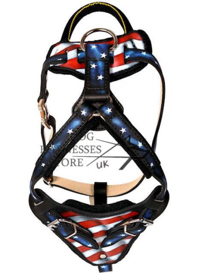 Hand Painted Leather Dog Harness "American Pride"