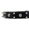 Heavy Metal Dog Collar Leather with Skulls & Two Rows of Spikes