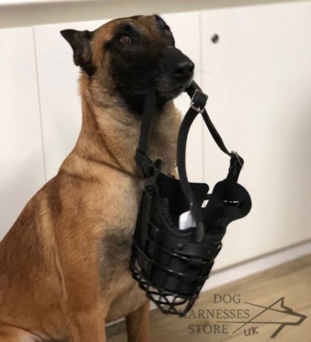 Training and Walking Dog Muzzle Covered with Black Rubber