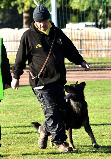 Dog Training Suit for IGP, WUSV Training and Trials