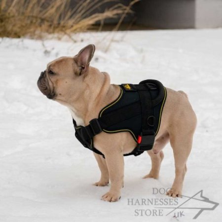 Dog Harness Sport and Training Made of Nylon, Bestseller in UK!