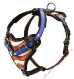 St Bernard Dog Harness Leather "American Pride"_2