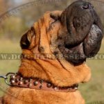 Shar-Pei Dog Collar Leather with Cones and Studs, Modern Design