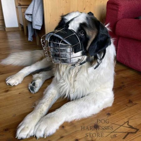 Wire Dog Muzzle UK Universal for Every Breed Walking, Training