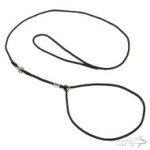 Dog Show Lead and Collar of Round Nylon with Swivel