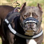 Nylon Dog Harness for Pitbull Training with Reflective Strap