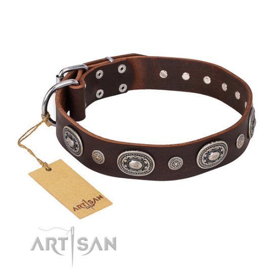 Brown Leather Dog Collar Adorned, "Extra Pizzazz" FDT Artisan