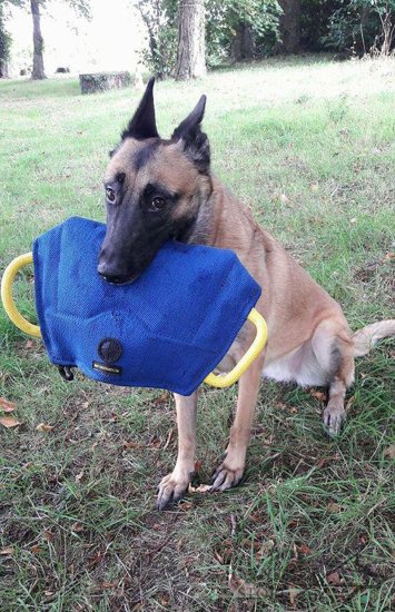 Training Pad French Linen with Handles for Puppies, Young Dogs