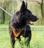 Designer Dog Harness with "Flames" for German Shepherd