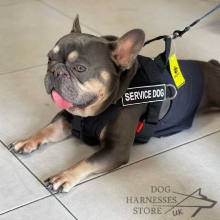 Bestseller! Nylon Dog Harness with Patches for French Bulldog