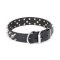 Genuine Leather Collar for Dogs "Jolly Roger's Spikes" Artisan