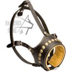 Leather Dog Muzzle, Anti-Bark, Studded and Soft Nappa Padded