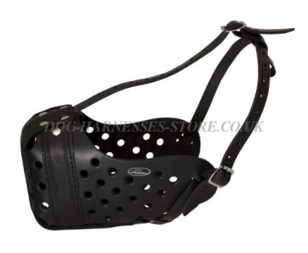 Boerboel Muzzle of Durable Leather for Agitation Training