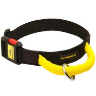 Dog Collars UK