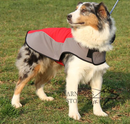 Australian Shepherd Dog Clothes