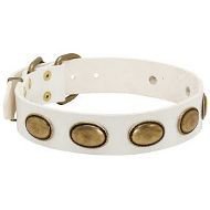 Leather Dog Collar Buy UK