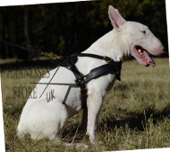 Dog Pulling Harness