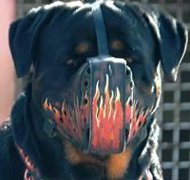 Designer Dog Muzzle Leather with "Flame" Painting for Rottweiler