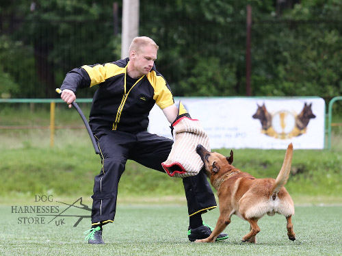 Dog Bite Training with Protective Sleeve