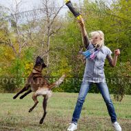 Dog Bite Tug of French Linen for Belgian Malinois, Dog Tug Toy