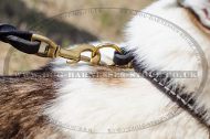 Dog Choke Collar for Husky, Natural Leather