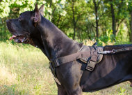 Dog Sport Harness