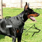 Easy Walk Harness
for Doberman | Dog Training Harness Nylon