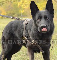 Dog Pulling Harness for German Shepherd, Strong UK