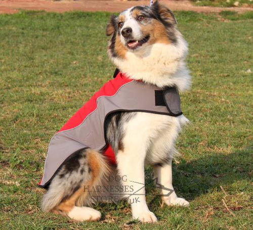 Australian Shepherd Dog Clothes