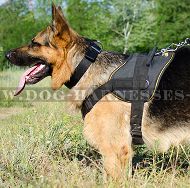 German Shepherd Chest Harness