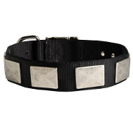 Dog Walking Collar Nylon with Old-Like Wide Nickel Plates