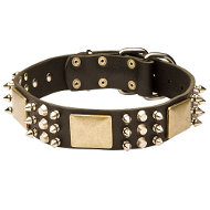 Leather Dog Collar with Spikes, Plates & Pyramids, Exclusive